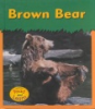 Brown_bear