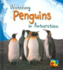 Watching_penguins_in_Antarctica