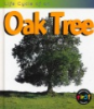 Life_cycle_of_an_oak_tree