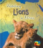 Watching_lions_in_Africa