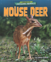Mouse_deer