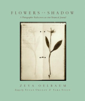 Flower_s_in_shadow