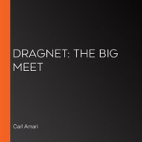 The_Big_Meet