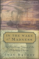 In_the_wake_of_madness
